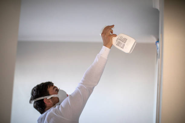 Best Affordable Mold Removal  in Sheffield Lake, OH