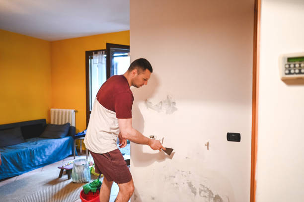 Best Crawl Space Mold Removal  in Sheffield Lake, OH